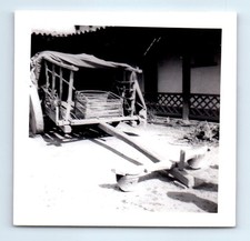 Old Vintage Square Photo HORSE