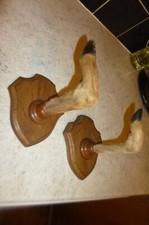 Vintage Pair Of Oak Wall Mounted Deer Feet Rifle Gun Umbrella Holder