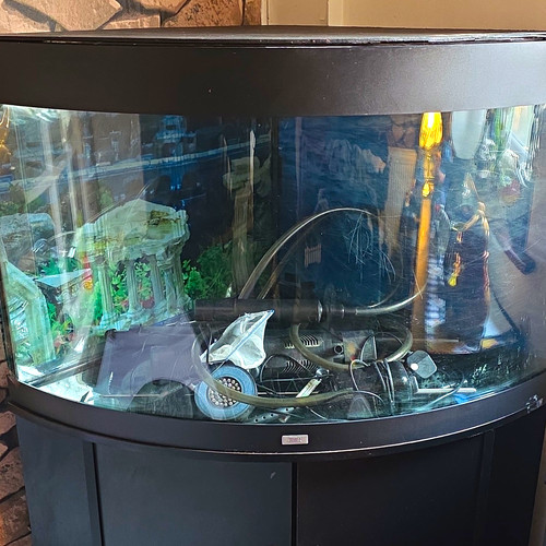 Juwel bowfront glass fish tank - glass,