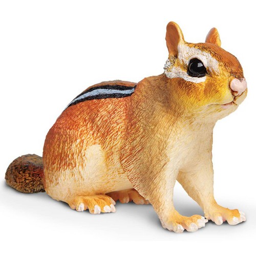 Eastern chipmunk incredible - eastern,