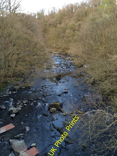Photo 6x4 the - 6x4, from