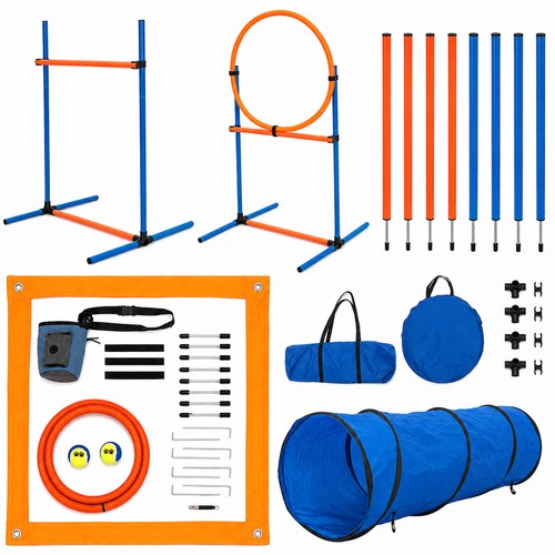 Dog agility training set - dog,