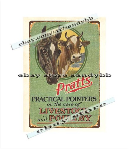 1920 pratts practical - practical, pointers
