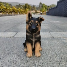 Puppy German Shepherd Garden