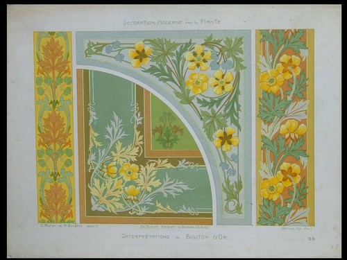 Buttercup flowers french art - french,