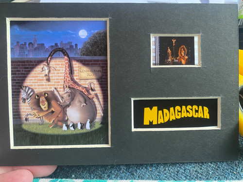 6x4 madagascar film cell - madagascar,