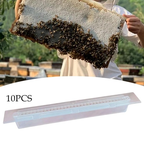 10pcs small hive - small, trap