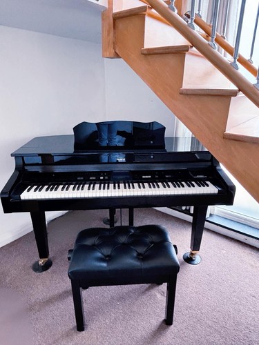 Roland 977 intelligent - roland,