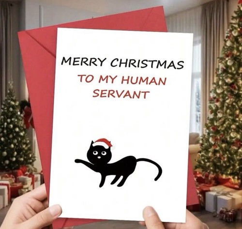 Humorous black cat - black,