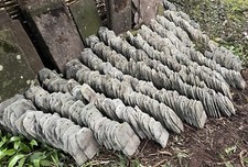 Westmorland Green Roof Slate (£2 each or all c1,000 slates as a whole)