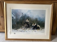 THE PANDA'S OF WOLONG BY DAVID