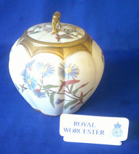 Vintage Royal Worcester Blush