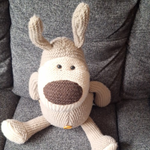 Boofle bear dog ins top - 9.25,