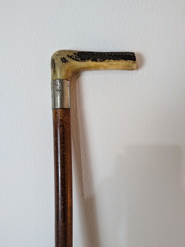 Antique hiking stick deer - antique,