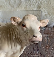 Beautiful And Rare Beswick