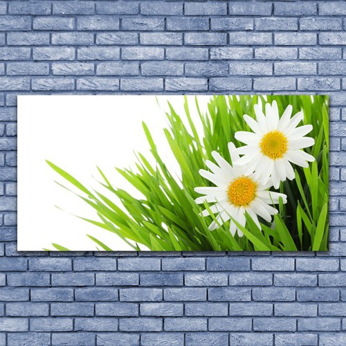 Acrylic glass pictures wall