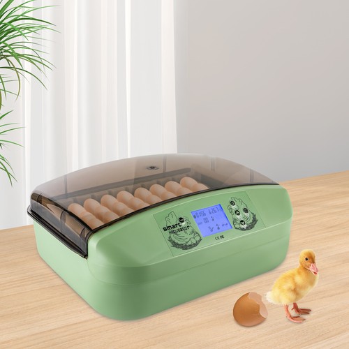 Digital egg incubator - digital,