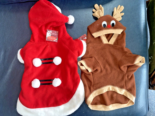 Dog christmas santa - dog,