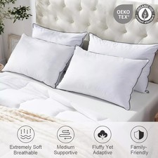EGYPTIAN COTTON PILLOWS PAIR