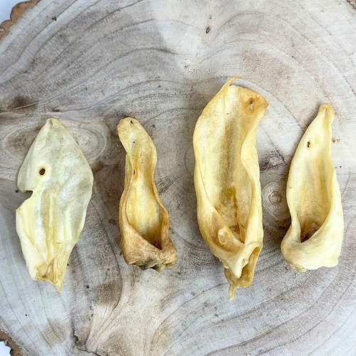 Goat ears 200g - goat,