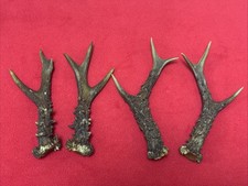 2 PAIRS OF ROE DEER ANTLERS 213g. aprox.18/18,5cm.