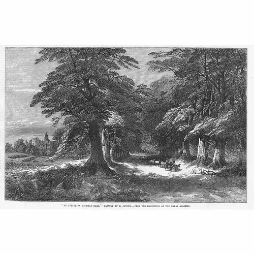 Hertfordshire avenue in - hertfordshire, an