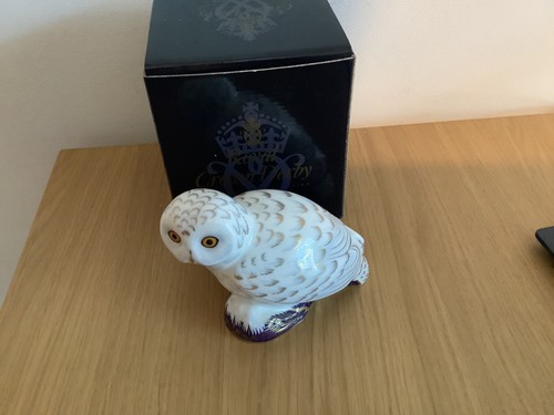 Royal crown derby snowy owl - crown,