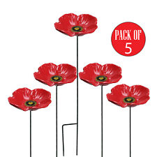 Garden Wild Bird Bath Water