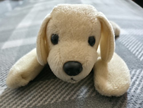 Official andrex puppy - andrex,