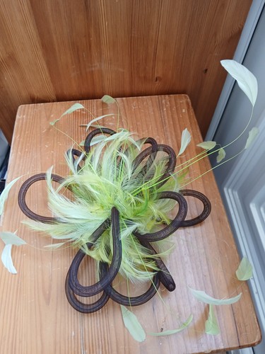 Lime green and - lime,