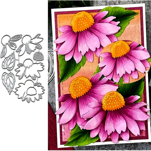 Beautiful daisy flowers - daisy, &