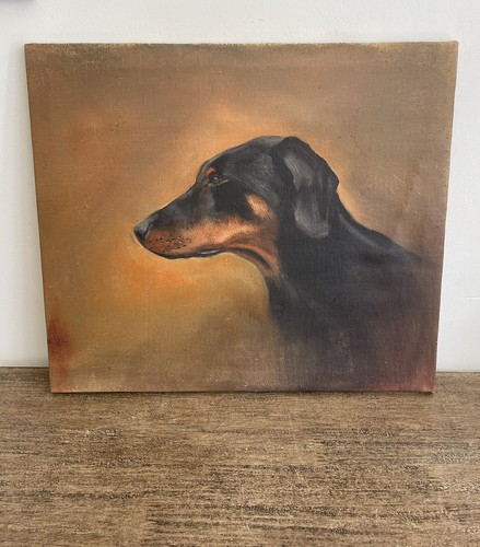 Vintage doberman pinscher oil - vintage,