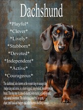 Dachshund Breed Chracteristics