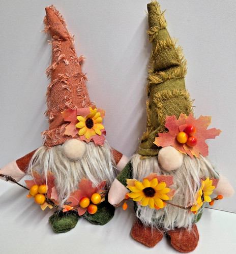Autumn gnomes harvest - autumn,
