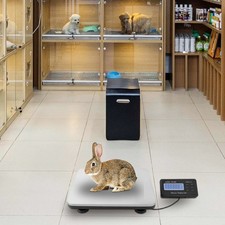 Industrial Platform Digital