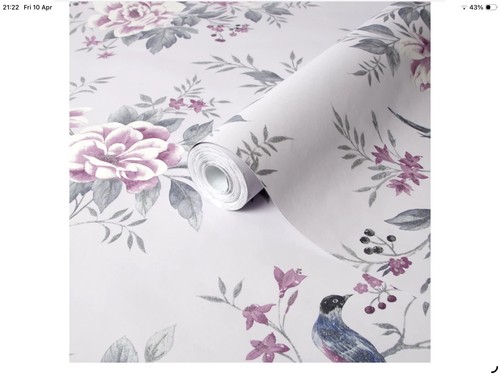 Colours liora wallpaper bird - liora,