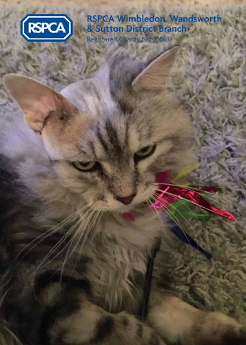 Demetrius needed major surgery - demetrius,