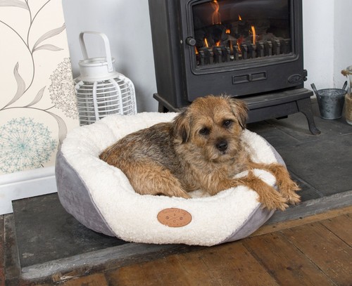 Grey fleece dog - dog, medium