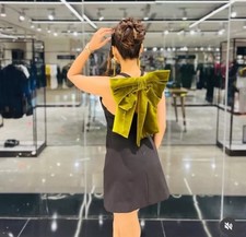 ZARA BNWT SHORT VELVET MAXI