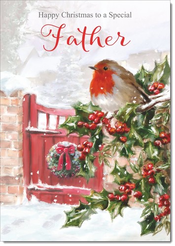 Doodlecards father christmas - doodlecards,