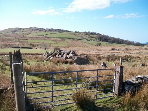 Photo 6x4 modern - photo, field