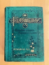 Taylor flowers w - e,