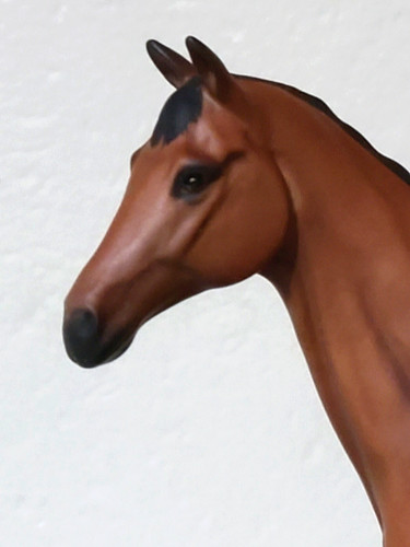 Royal doulton champion - royal,