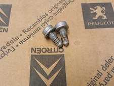 Citroën Saxo Front Door Check Strap Torx Bolts Screws VTR VTS Furio 1.1 