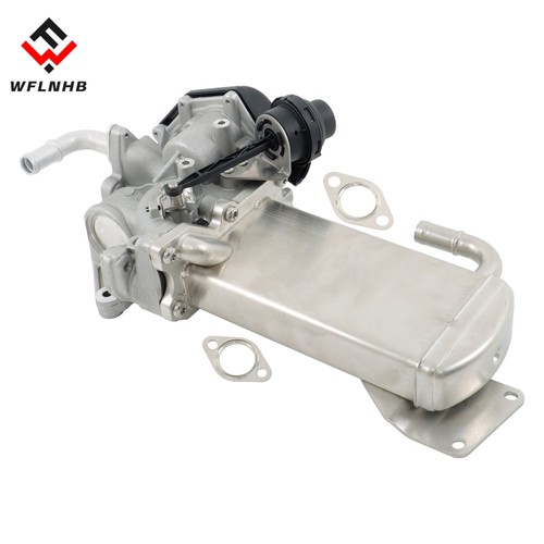 Egr valve cooler - module, for