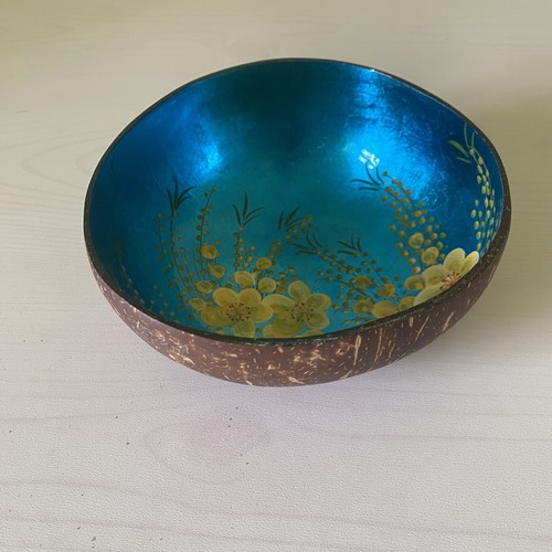 Natural coconut hard shell - natural,