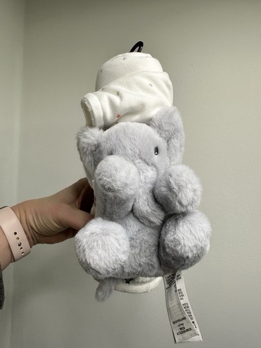 Born 2024 elephant - in,