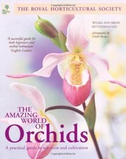 The Amazing World of Orchids - Brian Rittershausen