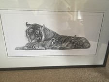 Gary Hodges Bengal Tiger & Cub Limited Edition Print Framed Signed & Mounted