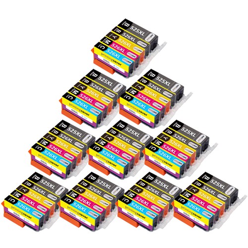 Lot ink cartridges for pgi - lot,